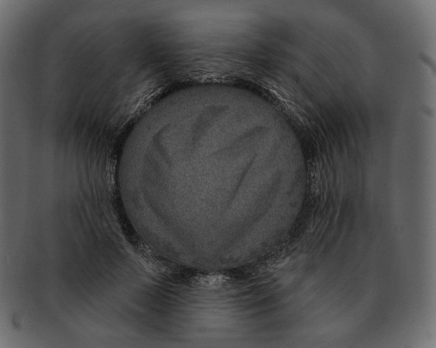 X0000091930695200710031059