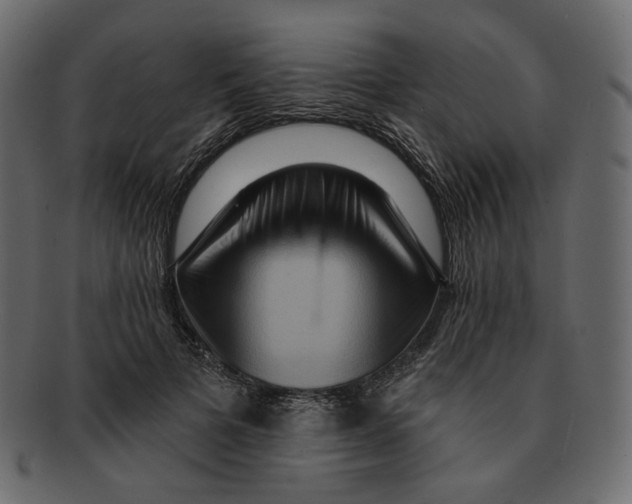 X0000091930697200710031059