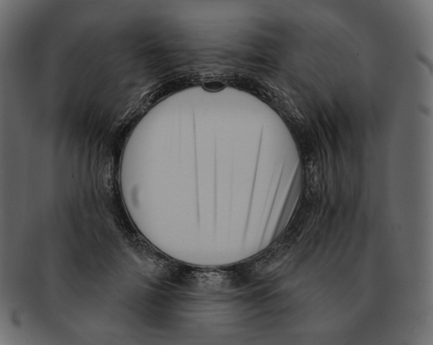 X0000091930698200710031059