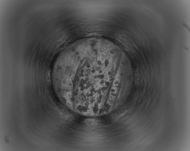 X0000091930699200710031059