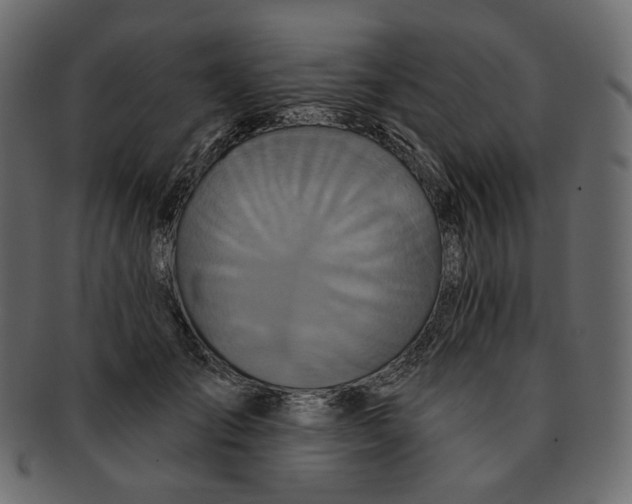 X0000091930701200710031059