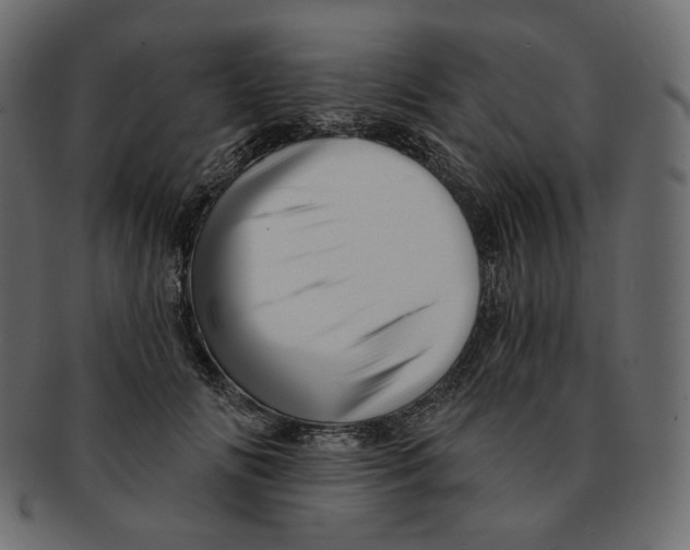 X0000091930702200710031059