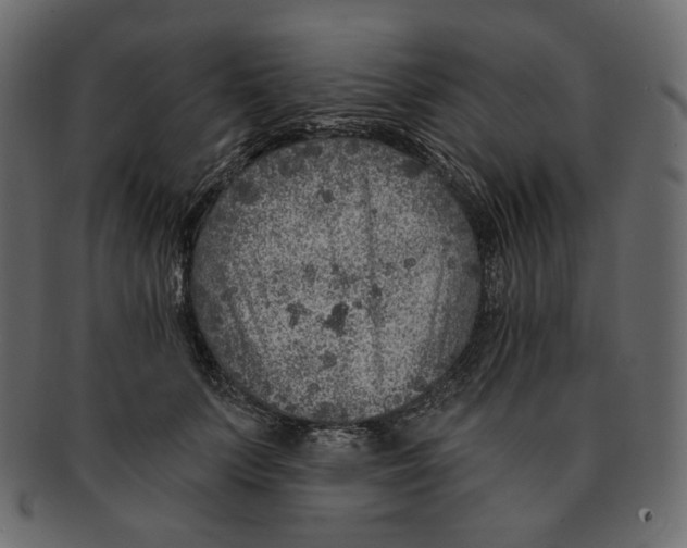 X0000091930703200710031059