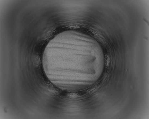 X0000091930704200710031059