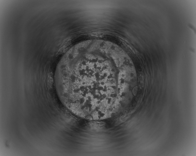 X0000091930707200710031059