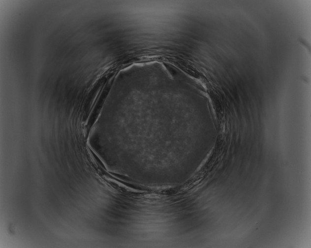 X0000091930708200710031059