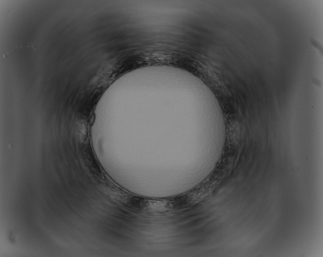 X0000091930709200710031059