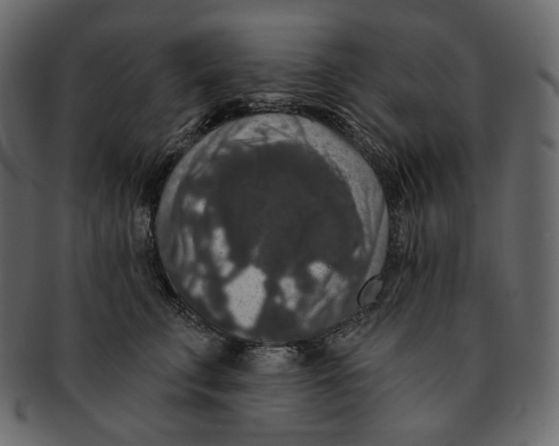 X0000091930711200710031059