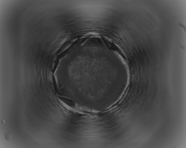 X0000091930712200710031059