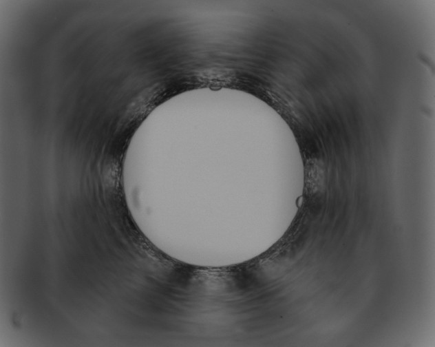 X0000091930713200710031059