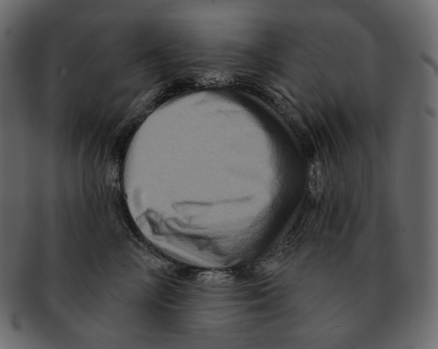 X0000091930714200710031059