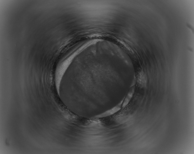 X0000091930715200710031059