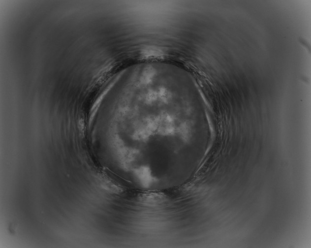 X0000091930716200710031059