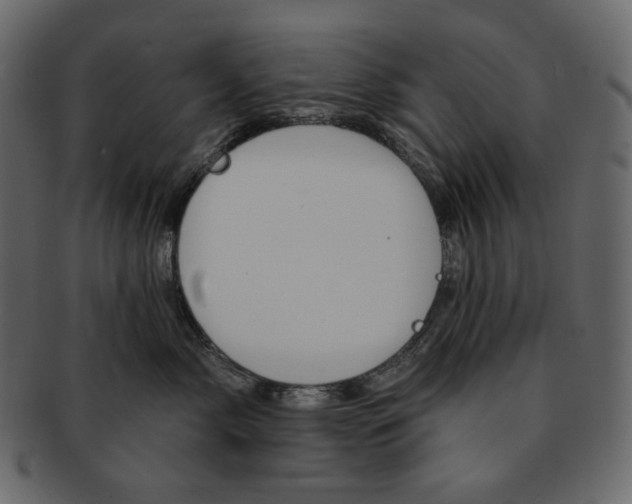 X0000091930717200710031059