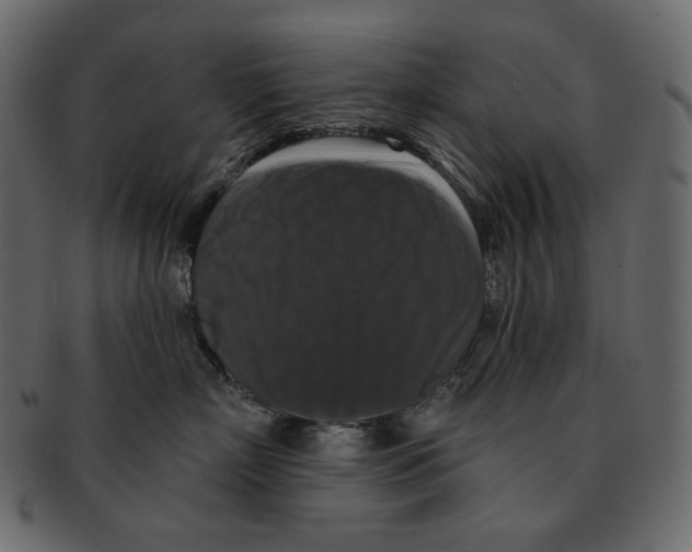 X0000091930718200710031059