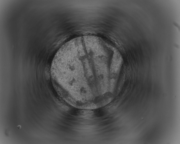 X0000091930719200710031059