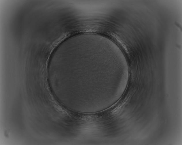 X0000091930721200710031058