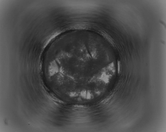 X0000091930723200710031058