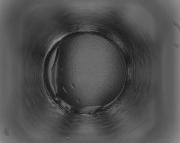 X0000091930724200710031058