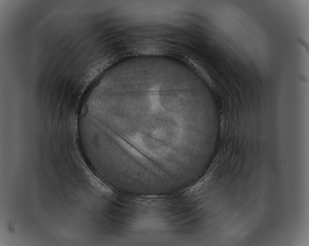 X0000091930725200710031058