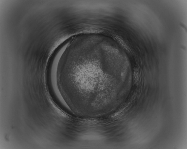 X0000091930726200710031058