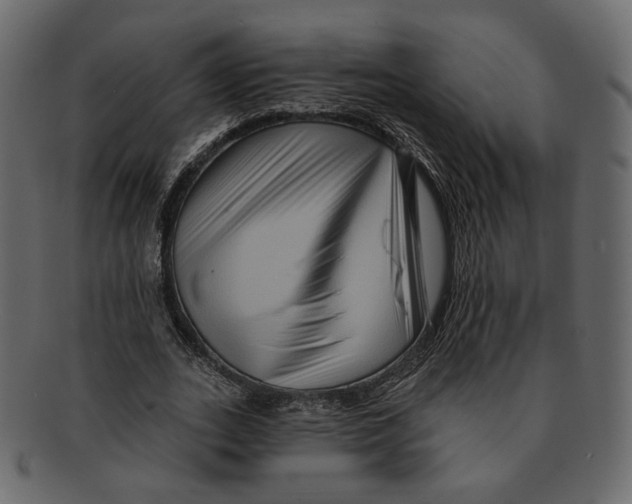 X0000091930727200710031058