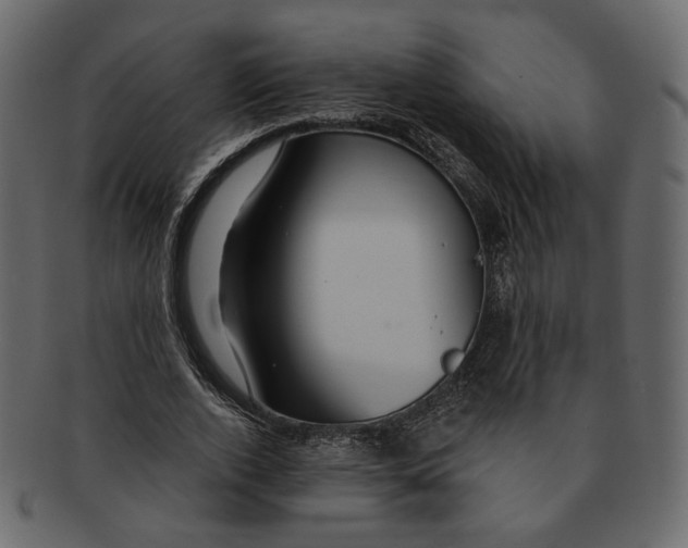 X0000091930728200710031058