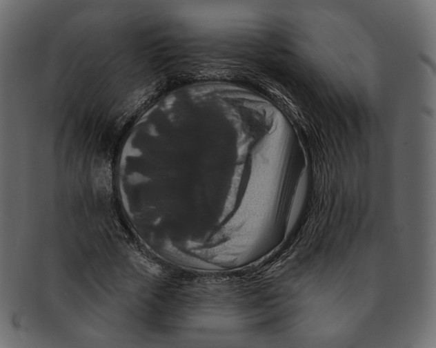 X0000091930729200710031058