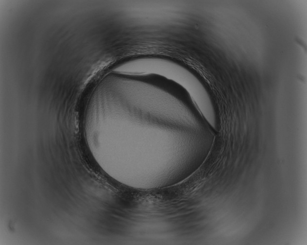 X0000091930731200710031058