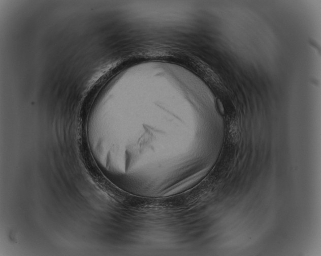 X0000091930732200710031058