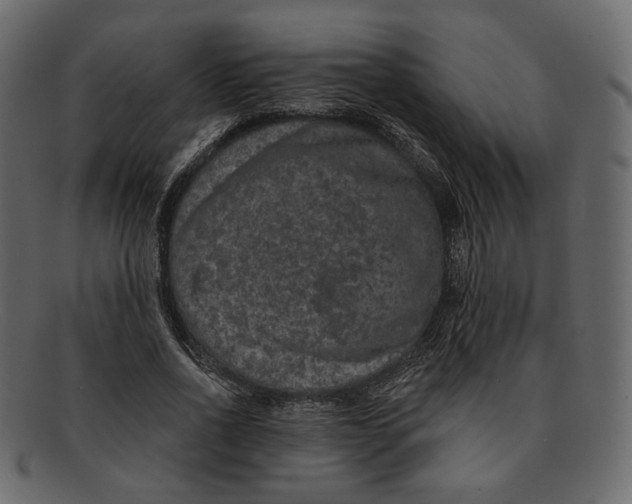 X0000091930734200710031058