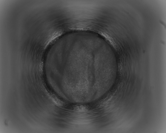 X0000091930735200710031058