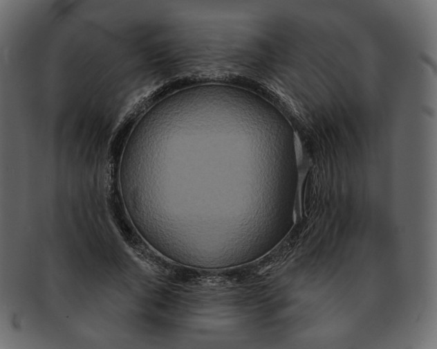 X0000091930736200710031058