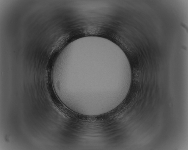 X0000091930738200710031058