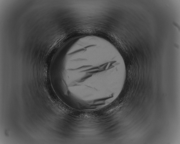 X0000091930739200710031058