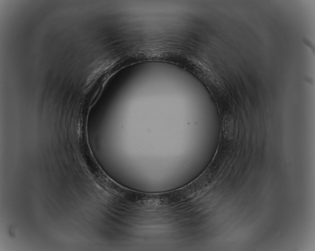 X0000091930740200710031058