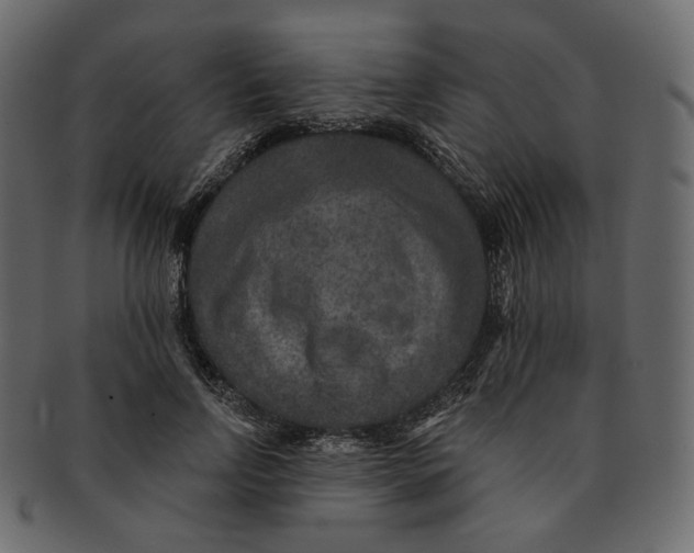 X0000091930742200710031058