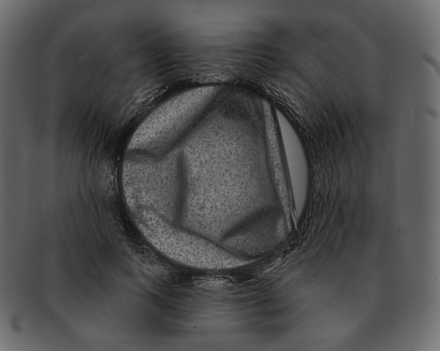 X0000091930743200710031058