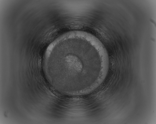 X0000091930745200710031058