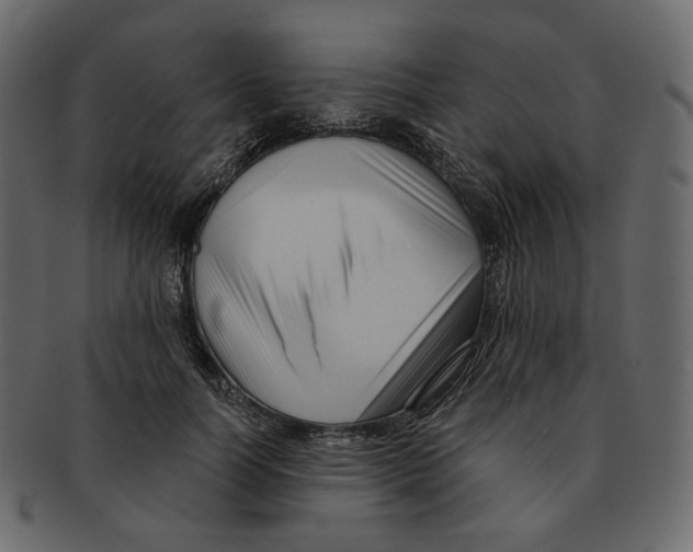 X0000091930746200710031058