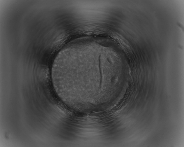 X0000091930748200710031058