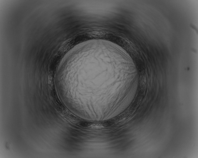 X0000091930749200710031058