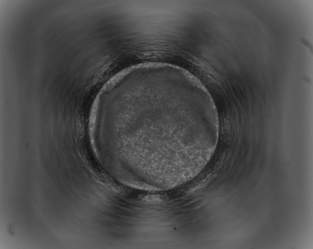 X0000091930751200710031058