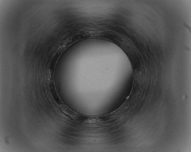 X0000091930752200710031058