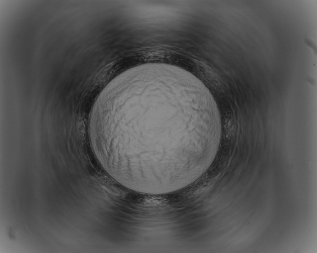 X0000091930753200710031058