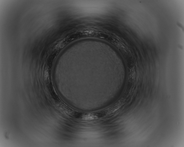 X0000091930754200710031058