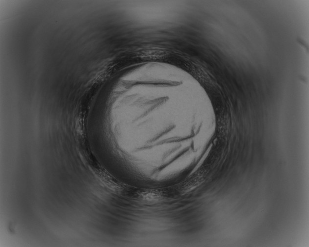 X0000091930755200710031058