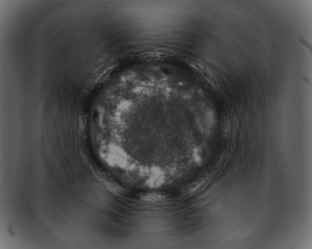 X0000091930759200710031059