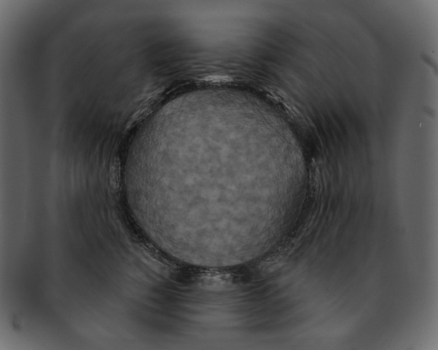 X0000091930760200710031059