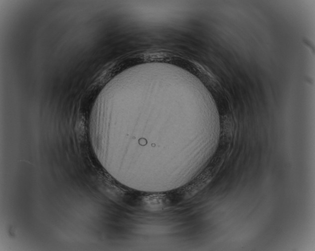 X0000091930761200710031059